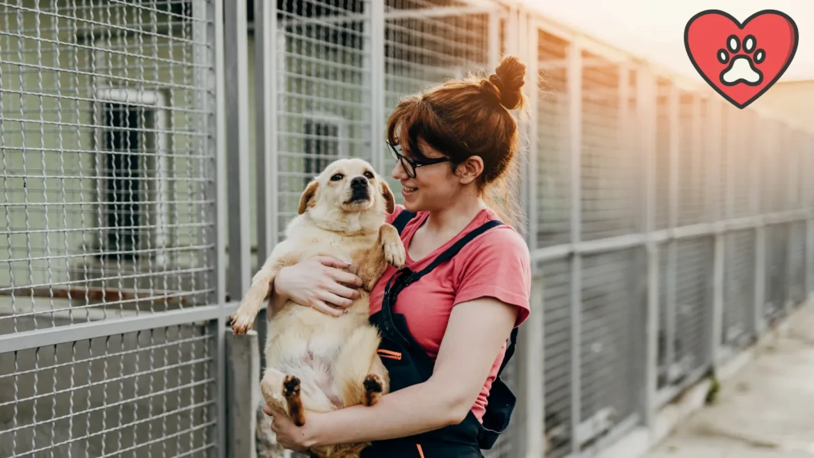 Refuge animaux Nancy