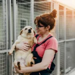 Association Animaux Nancy : Refuges, SPA & Adoption (Guide 2026)