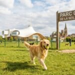 Parc Canin Metz : Le Guide Ultime 2026